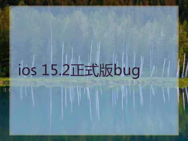 ios 15.2正式版bug