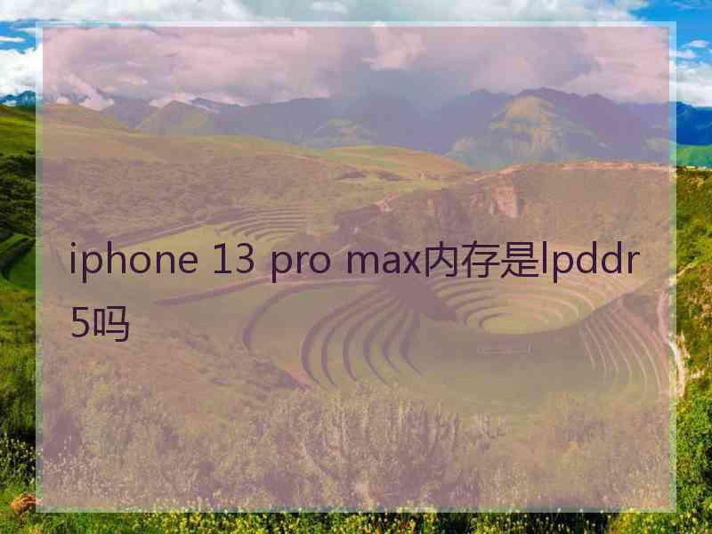 iphone 13 pro max内存是lpddr5吗