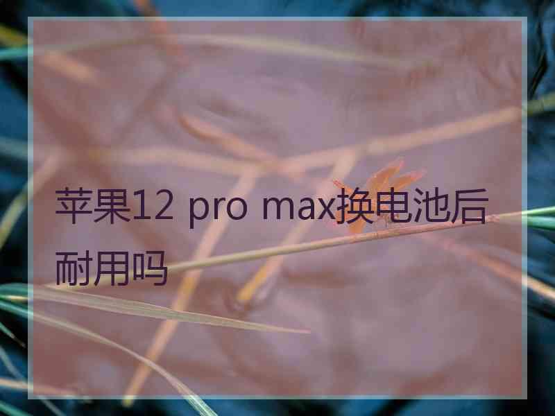 苹果12 pro max换电池后耐用吗