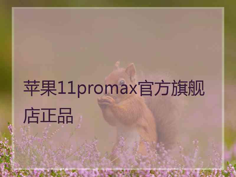 苹果11promax官方旗舰店正品