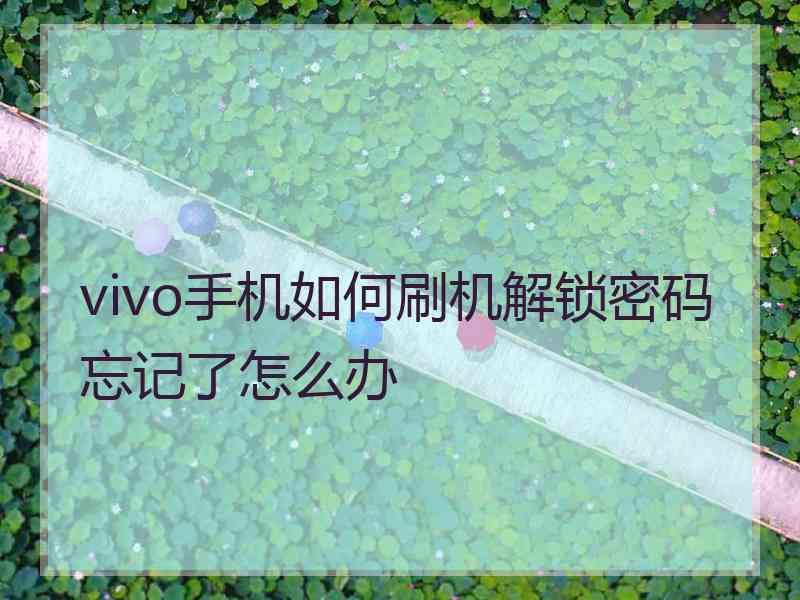 vivo手机如何刷机解锁密码忘记了怎么办