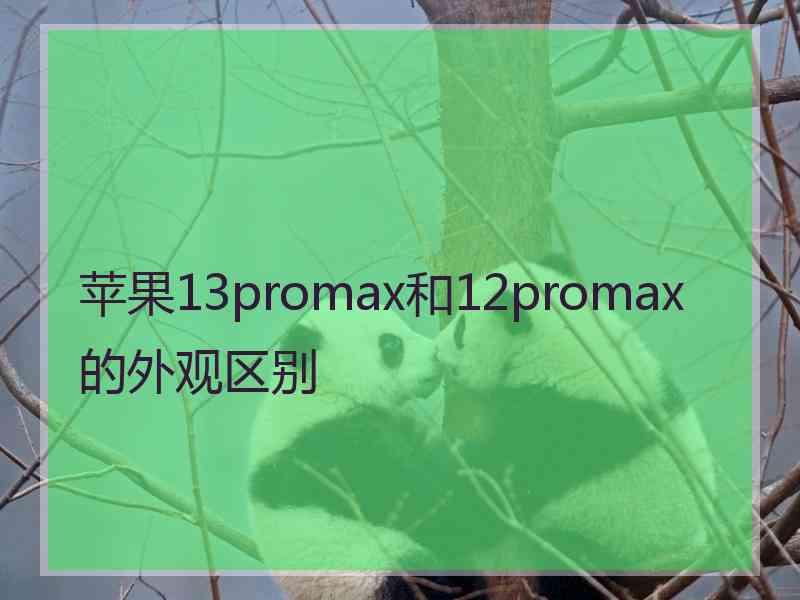 苹果13promax和12promax的外观区别