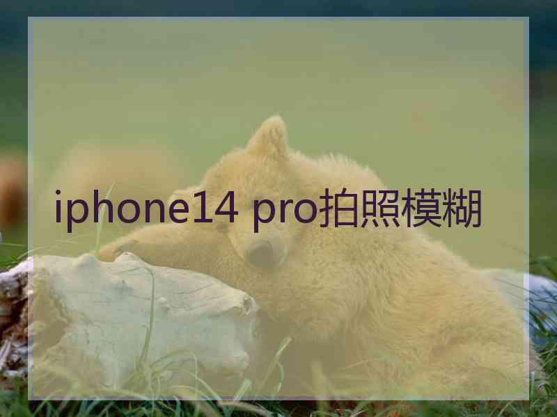 iphone14 pro拍照模糊