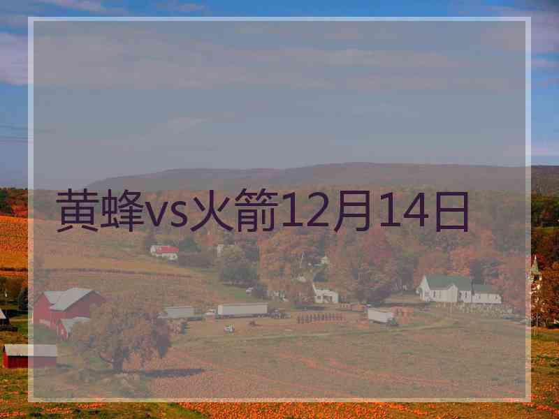 黄蜂vs火箭12月14日