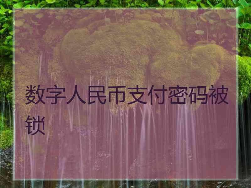 数字人民币支付密码被锁