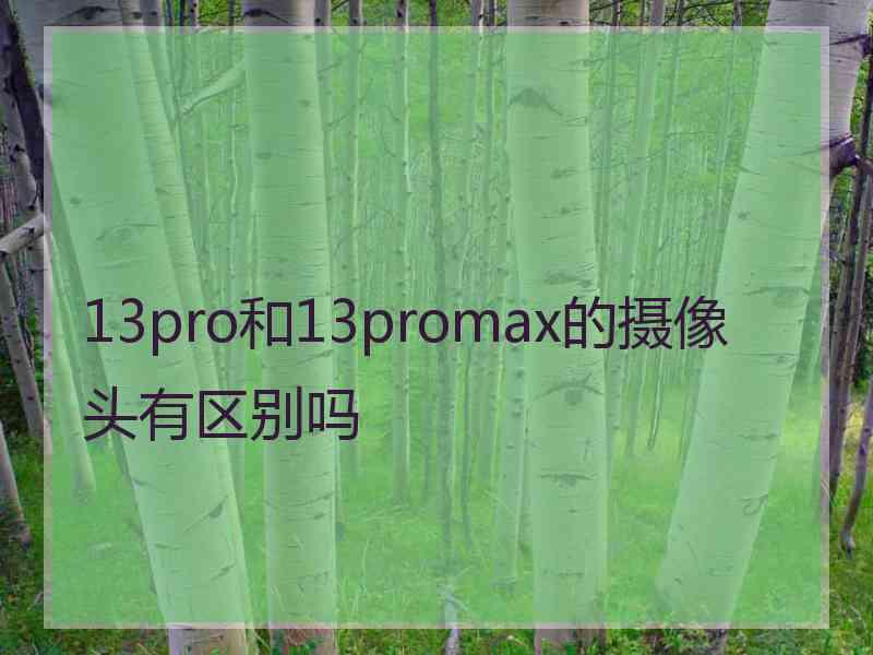 13pro和13promax的摄像头有区别吗