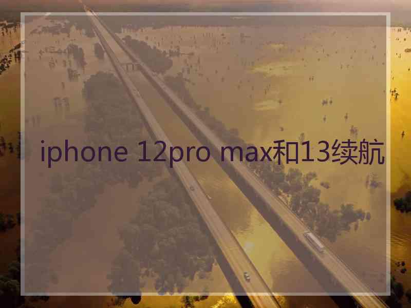 iphone 12pro max和13续航