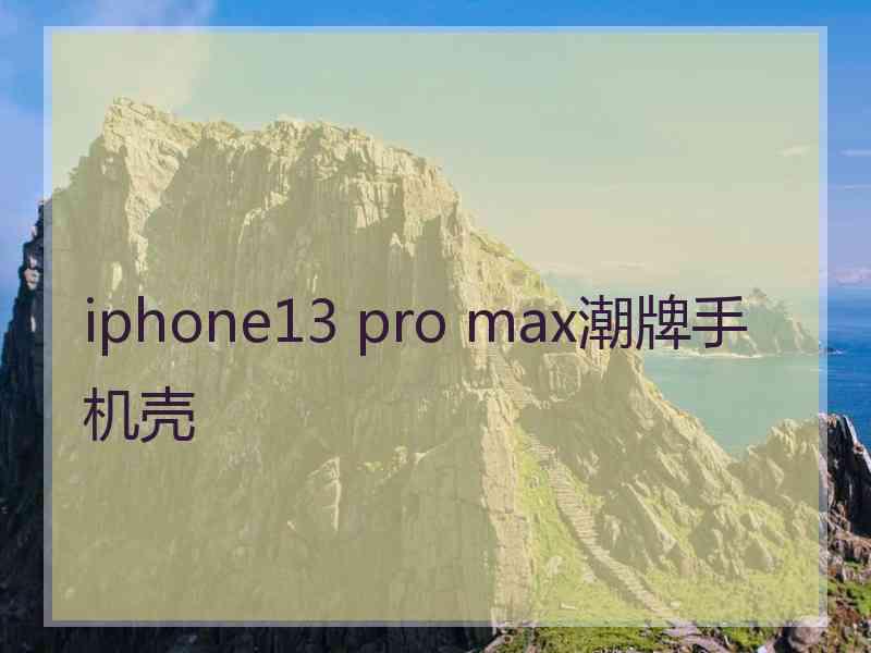 iphone13 pro max潮牌手机壳