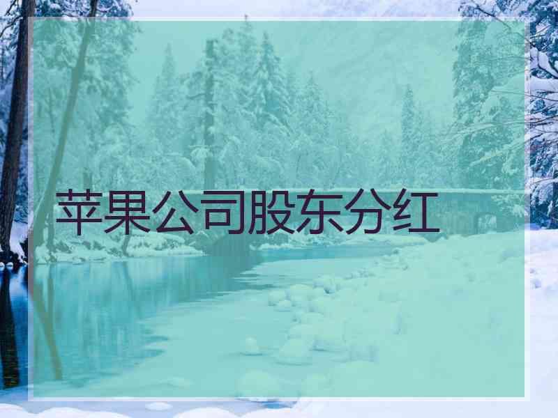 苹果公司股东分红