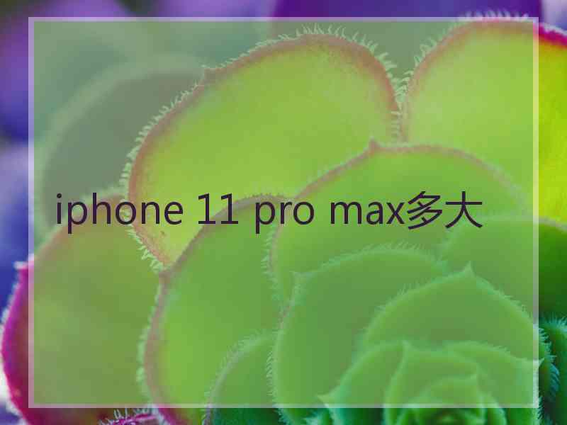 iphone 11 pro max多大