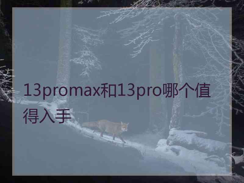 13promax和13pro哪个值得入手