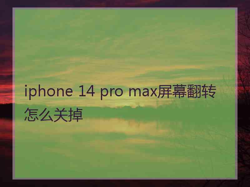 iphone 14 pro max屏幕翻转怎么关掉