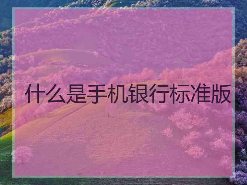 什么是手机银行标准版