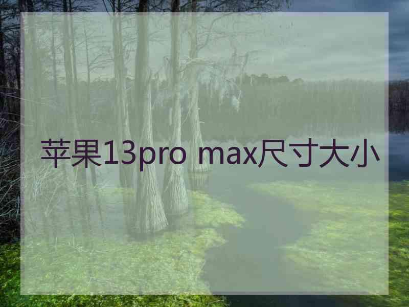 苹果13pro max尺寸大小