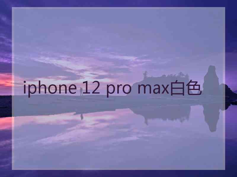 iphone 12 pro max白色