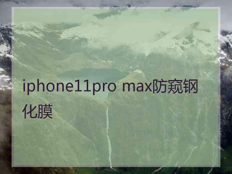 iphone11pro max防窥钢化膜