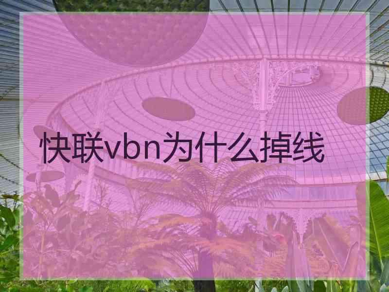 快联vbn为什么掉线