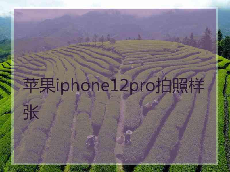 苹果iphone12pro拍照样张