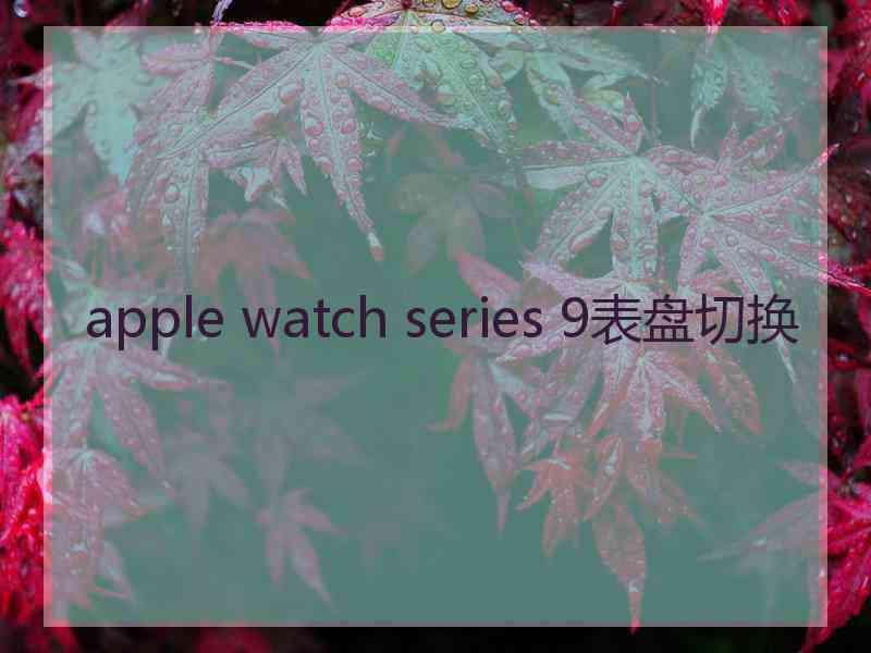 apple watch series 9表盘切换