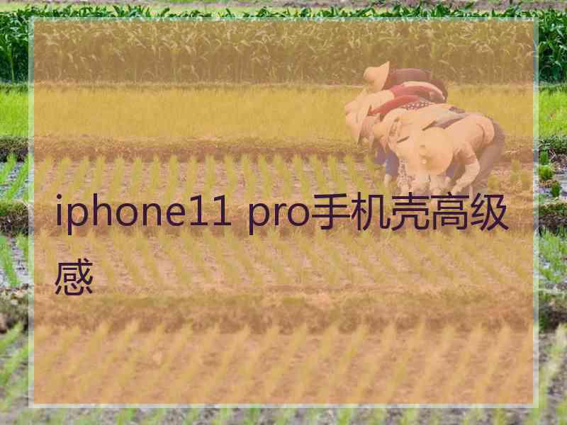 iphone11 pro手机壳高级感