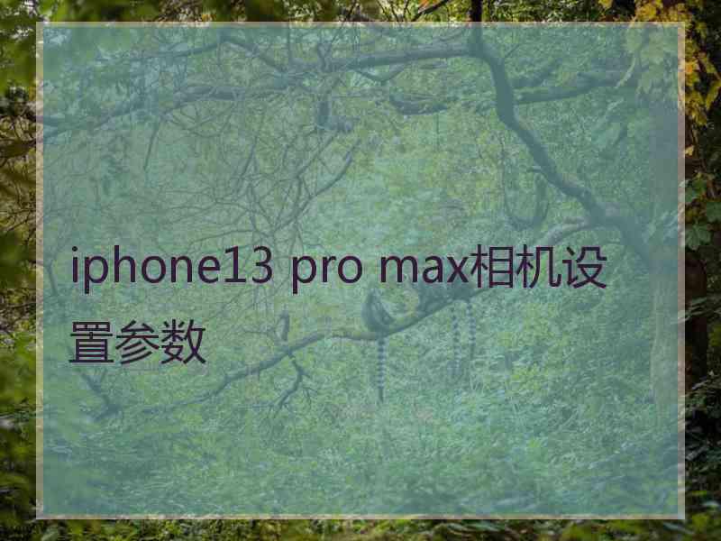 iphone13 pro max相机设置参数