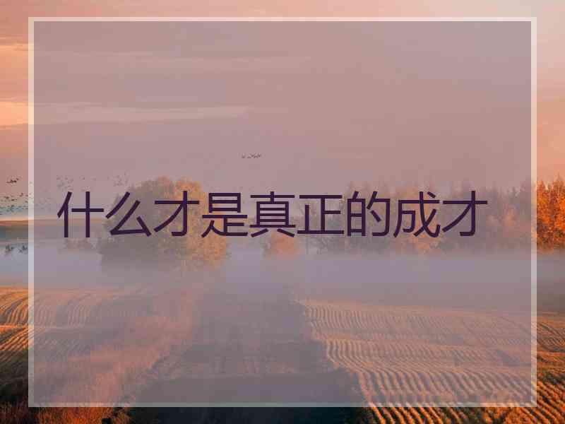 什么才是真正的成才