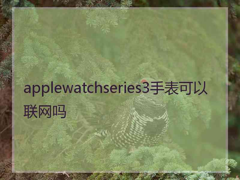 applewatchseries3手表可以联网吗