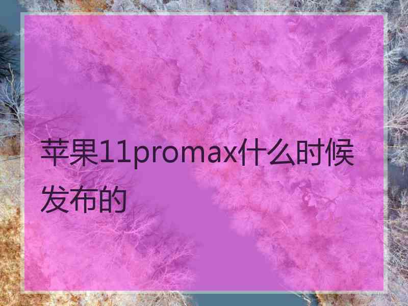 苹果11promax什么时候发布的