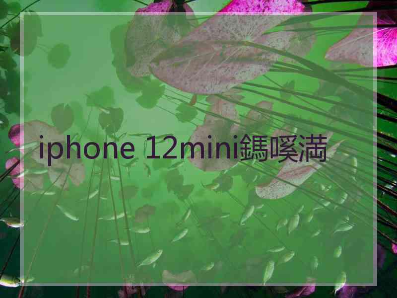 iphone 12mini鎷嗘満