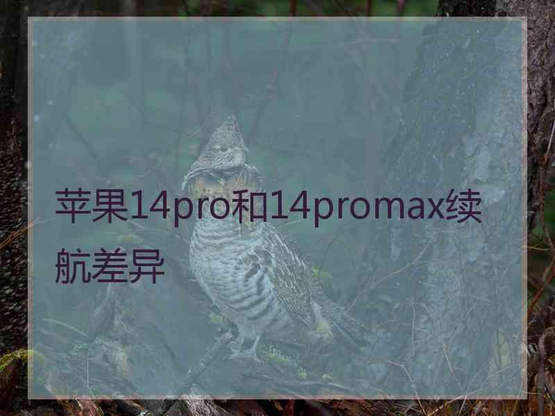 苹果14pro和14promax续航差异