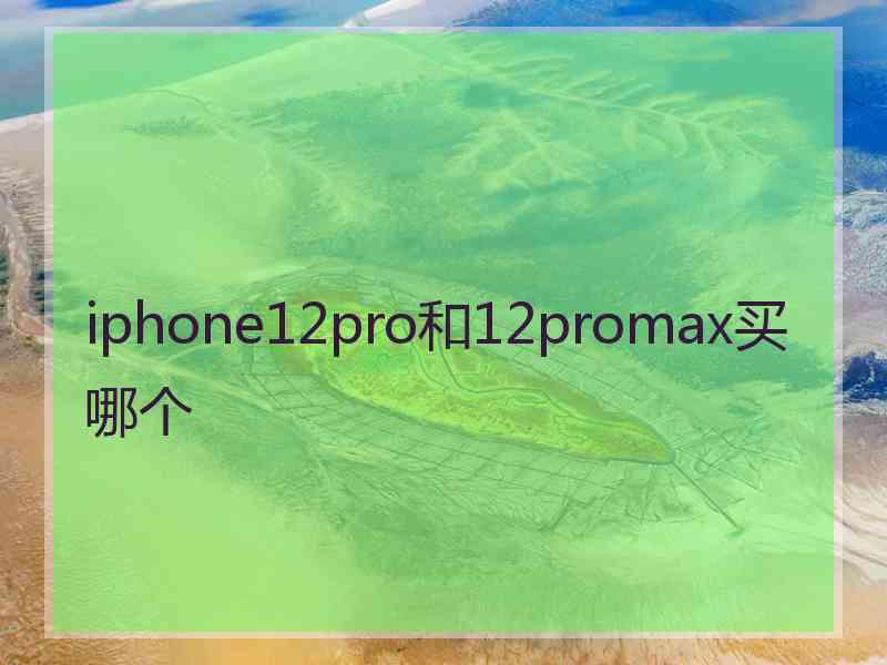 iphone12pro和12promax买哪个