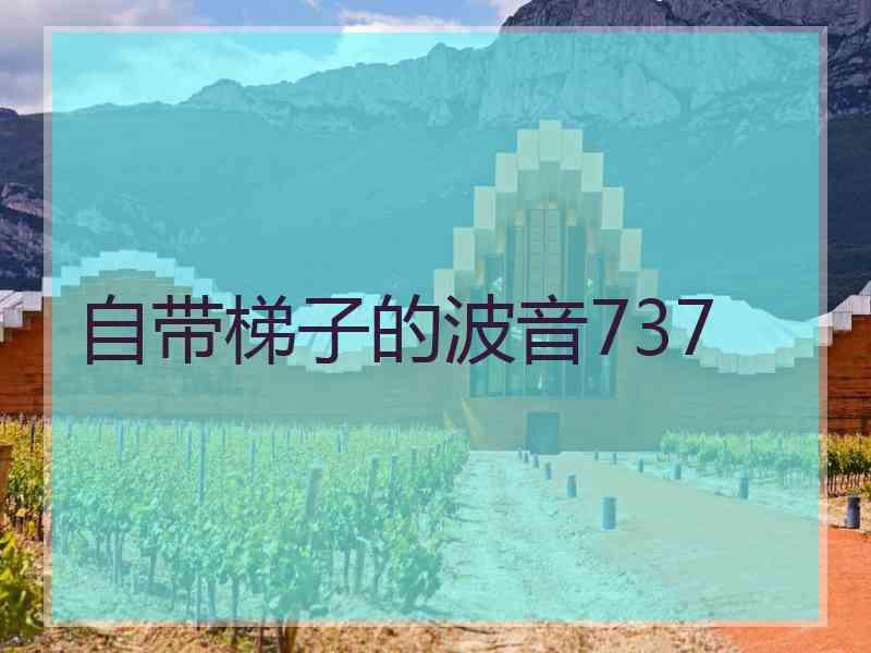 自带梯子的波音737