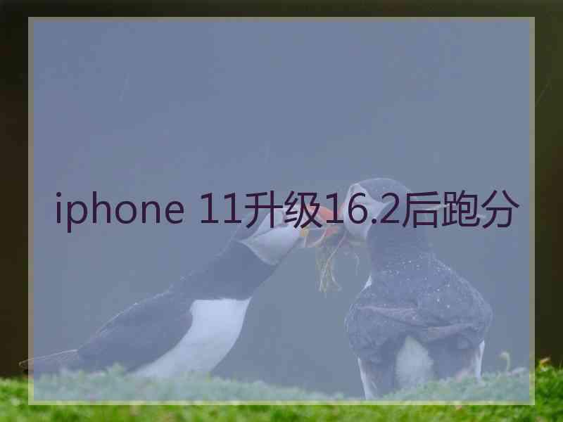 iphone 11升级16.2后跑分