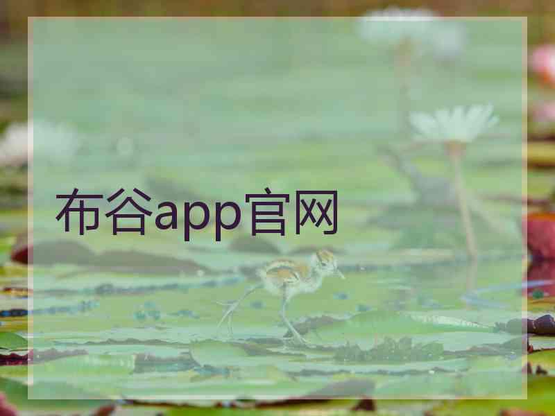 布谷app官网