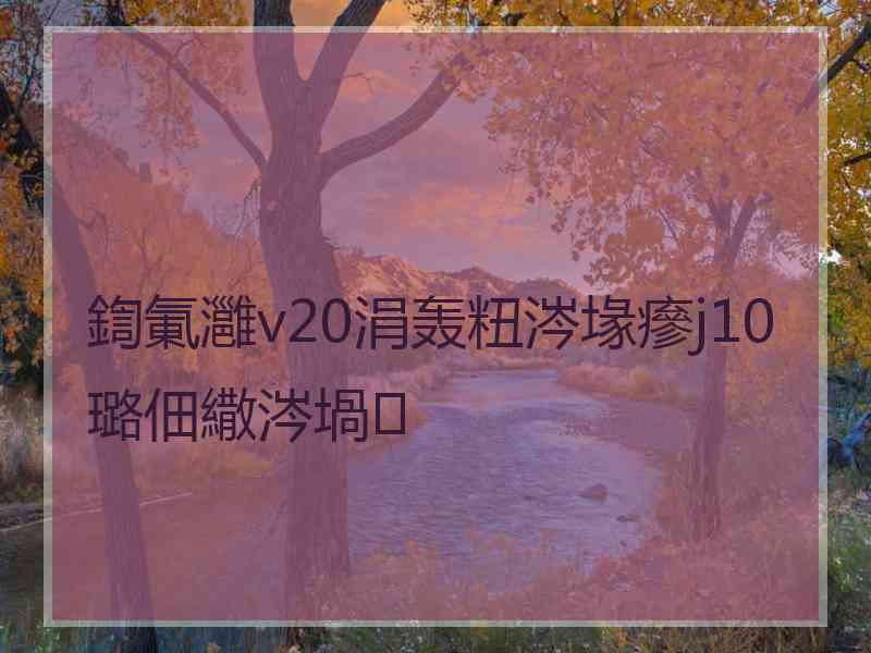 鍧氭灉v20涓轰粈涔堟瘮j10璐佃繖涔堝