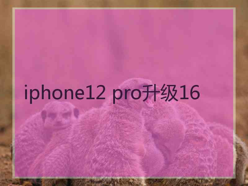 iphone12 pro升级16