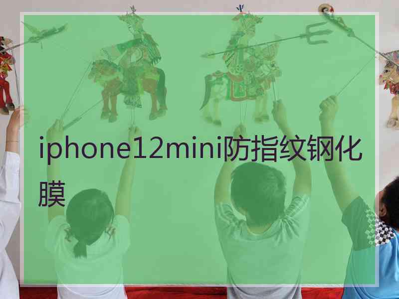 iphone12mini防指纹钢化膜