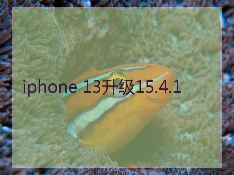 iphone 13升级15.4.1