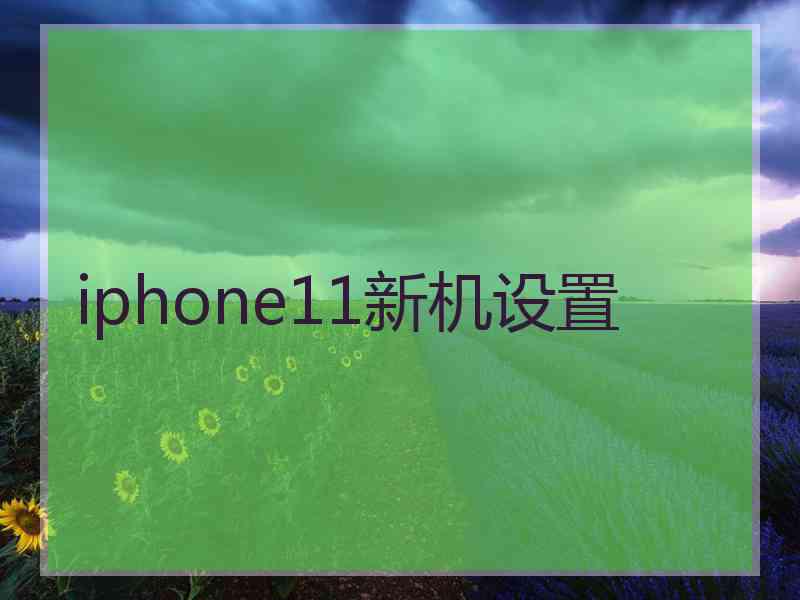 iphone11新机设置