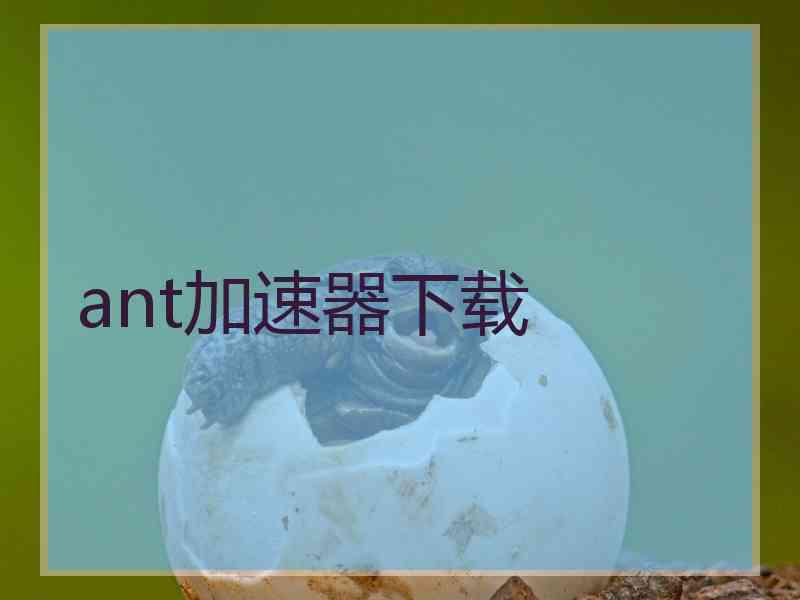 ant加速器下载