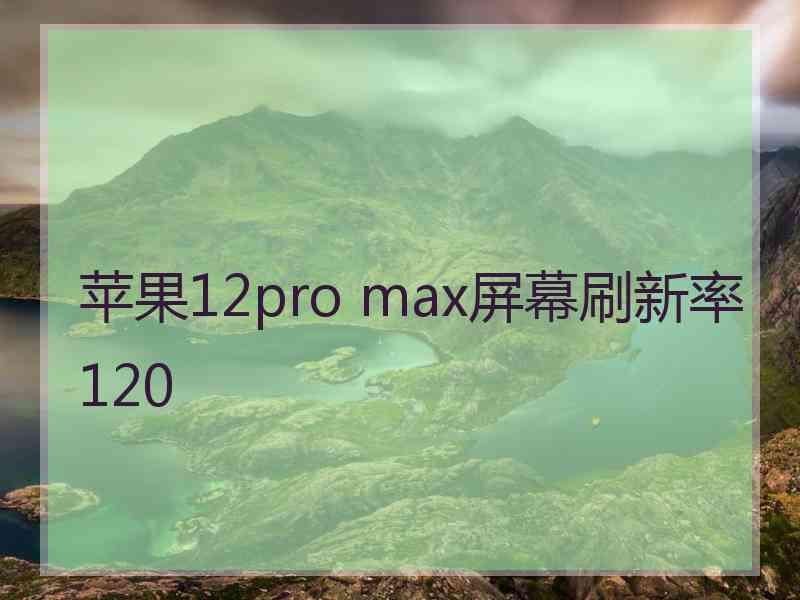 苹果12pro max屏幕刷新率120