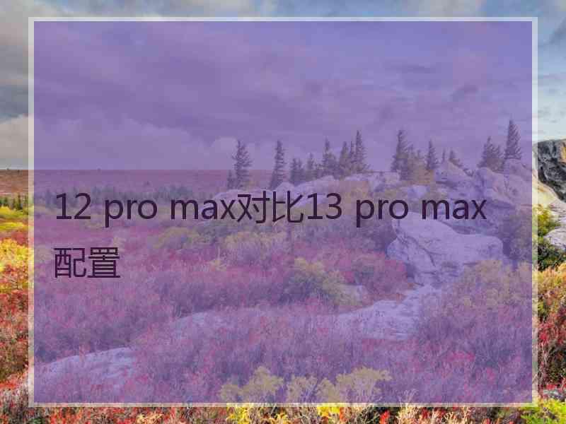 12 pro max对比13 pro max配置