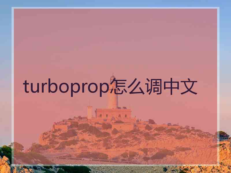 turboprop怎么调中文