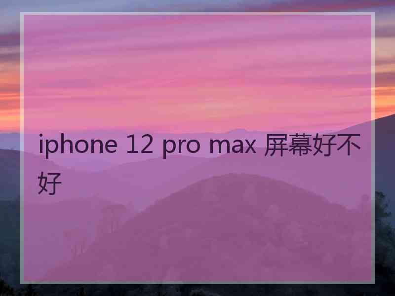 iphone 12 pro max 屏幕好不好