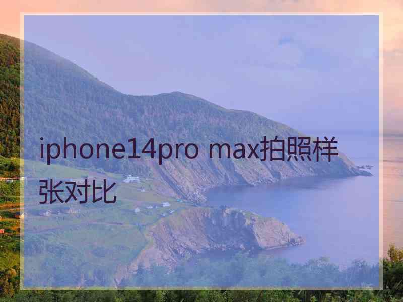 iphone14pro max拍照样张对比