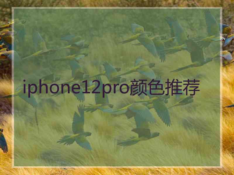 iphone12pro颜色推荐