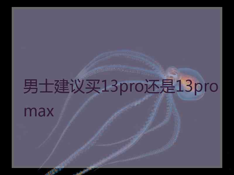 男士建议买13pro还是13promax