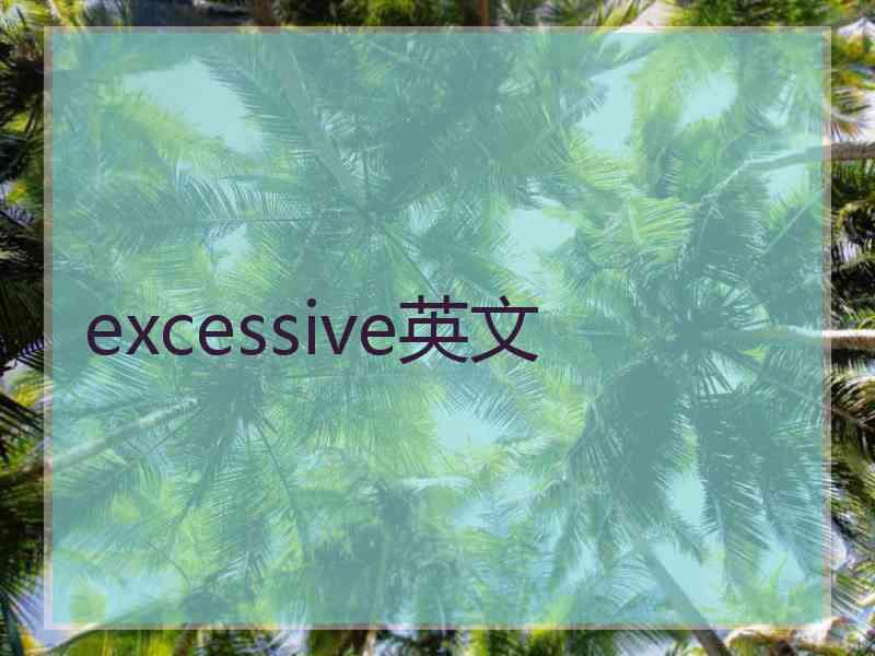 excessive英文