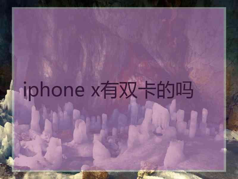 iphone x有双卡的吗