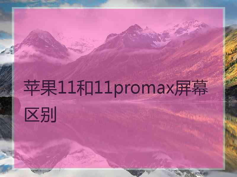 苹果11和11promax屏幕区别